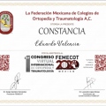Ampliar imagen: certificate 15