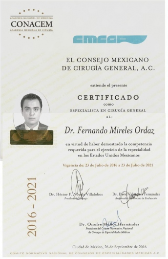Fernando Mireles Ordaz-7