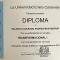 Ampliar imagen: certificate 11