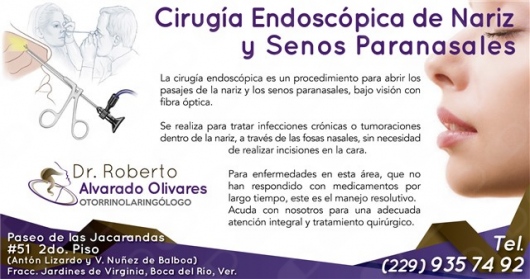 Roberto Alvarado Olivares-8