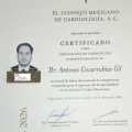 Ampliar imagen: certificate 10