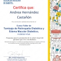 Ampliar imagen: certificate 3