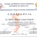 Ampliar imagen: certificate 128