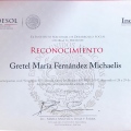 Ampliar imagen: certificate 11