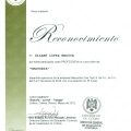 Ampliar imagen: certificate 16