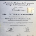 Ampliar imagen: certificate 11