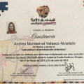 Ampliar imagen: certificate 21