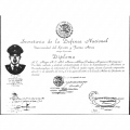 Ampliar imagen: certificate 3