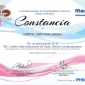 Ampliar imagen: certificate 13