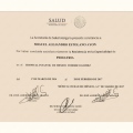 Ampliar imagen: certificate 2