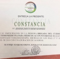 Ampliar imagen: certificate 19