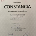Ampliar imagen: certificate 3