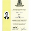 Ampliar imagen: certificate 12