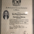 Ampliar imagen: certificate 3