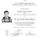 Ampliar imagen: certificate 4