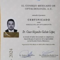 Ampliar imagen: certificate 2