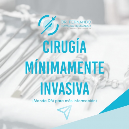 Fernando Navarro Hernández-1