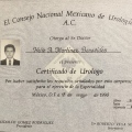 Ampliar imagen: certificate 7