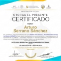 Ampliar imagen: certificate 4