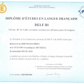 Ampliar imagen: certificate 9