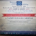 Ampliar imagen: certificate 11