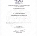 Ampliar imagen: certificate 11