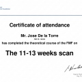 Ampliar imagen: certificate 3
