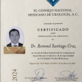 Ampliar imagen: certificate 2