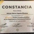Ampliar imagen: certificate 9