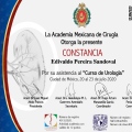 Ampliar imagen: certificate 3