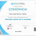 Ampliar imagen: certificate 17