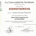 Ampliar imagen: certificate 7