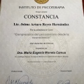 Ampliar imagen: certificate 9