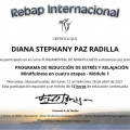 Ampliar imagen: certificate 10