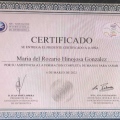 Ampliar imagen: certificate 8