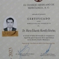 Ampliar imagen: certificate 11