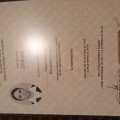 Ampliar imagen: certificate 5
