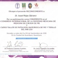 Ampliar imagen: certificate 7