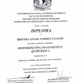Ampliar imagen: certificate 11