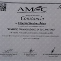 Ampliar imagen: certificate 11
