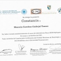 Ampliar imagen: certificate 4