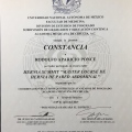Ampliar imagen: certificate 7