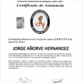 Ampliar imagen: certificate 17