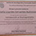 Ampliar imagen: certificate 8