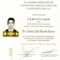 Ampliar imagen: certificate 1