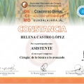 Ampliar imagen: certificate 14