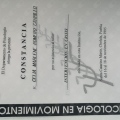 Ampliar imagen: certificate 9