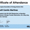 Ampliar imagen: certificate 4