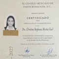 Ampliar imagen: certificate 2