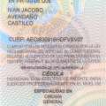 Ampliar imagen: certificate 6